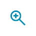 magnified icon